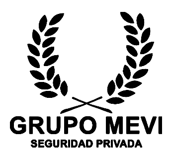 Logo Grupo MEVI